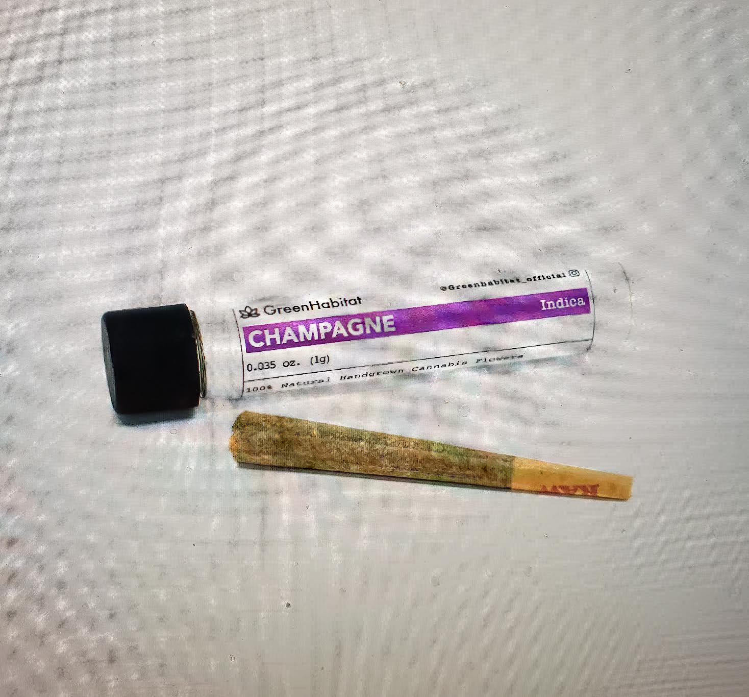 1g Champagne Preroll - Habitat