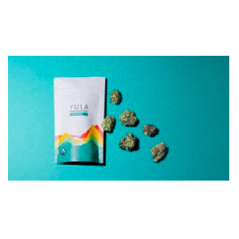 Gelato Frosting Yula