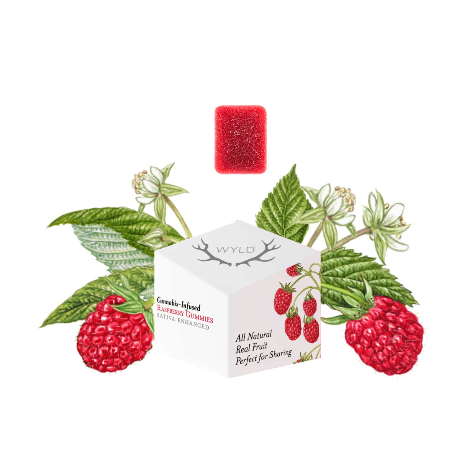 Raspberry "Uplifting" Gummies | Wyld