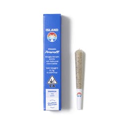 OG Drift Preroll