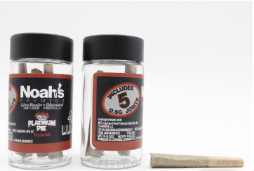 Noah's Premium BOGO Infused 5pk Prerolls 5g Platinum Pie