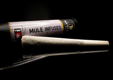 Fresh Powder x Lemon Sour Diesel, Infused Pre-Roll, 1g