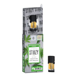 Gelato Stiiizy H