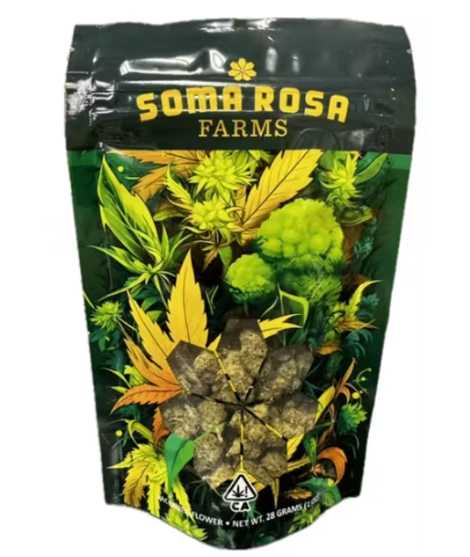 ProteInsect: Digeribilità E Alto Contenuto Proteico Per Gli Snack Di Record