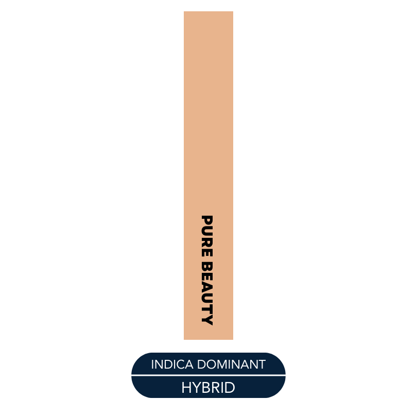 Pure Beauty - XOXO - Preroll - 1.0g