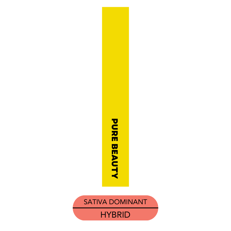 Pure Beauty - Green Cush - Preroll - 1.0g