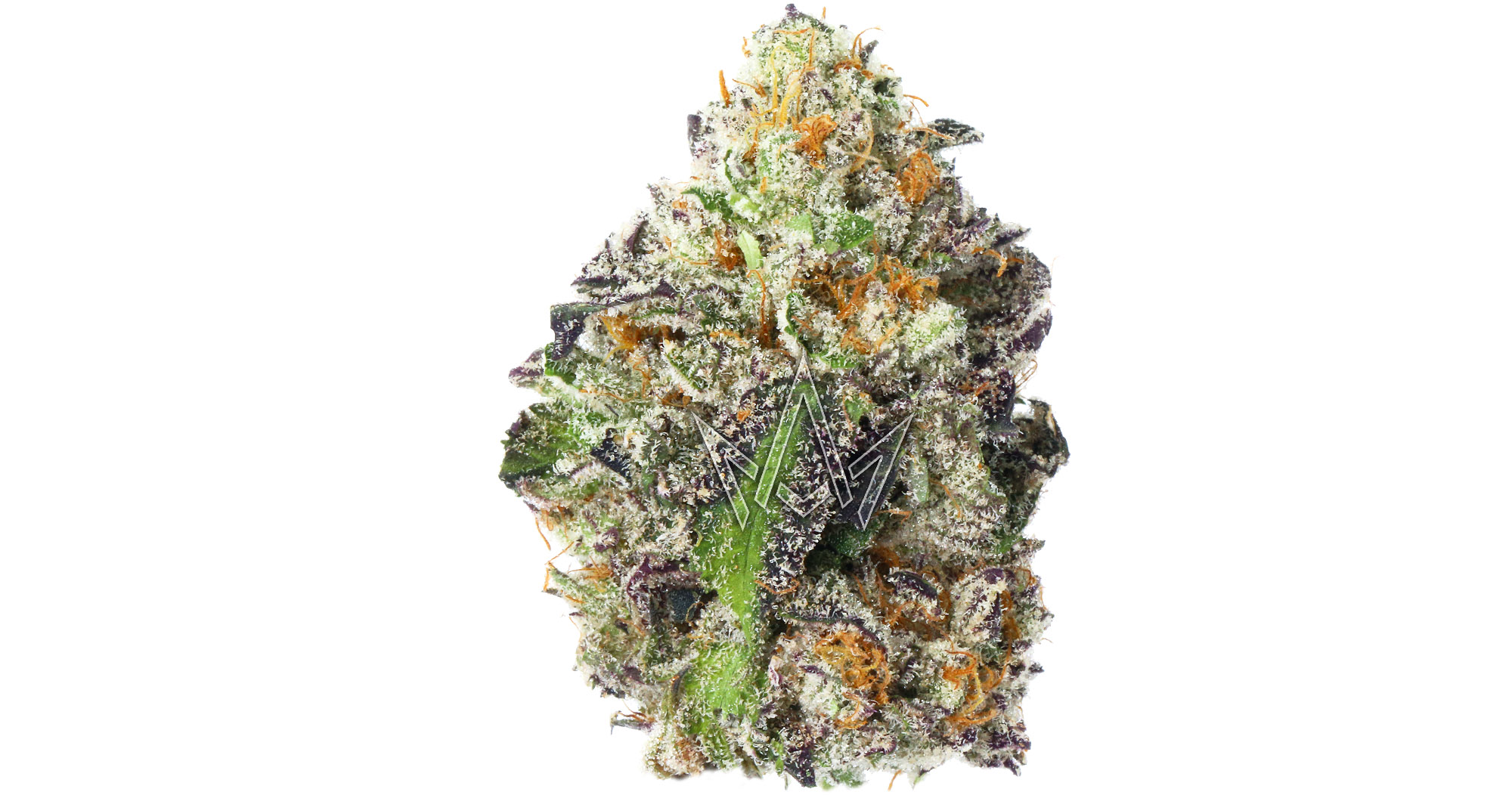 Fresh Baked Black Cherry Truffle 3.5g San Diego, Vista & Imperial