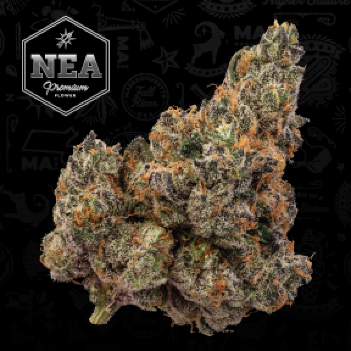 Apple Fritter | 3.5g NEA Premium | TAX INCLD
