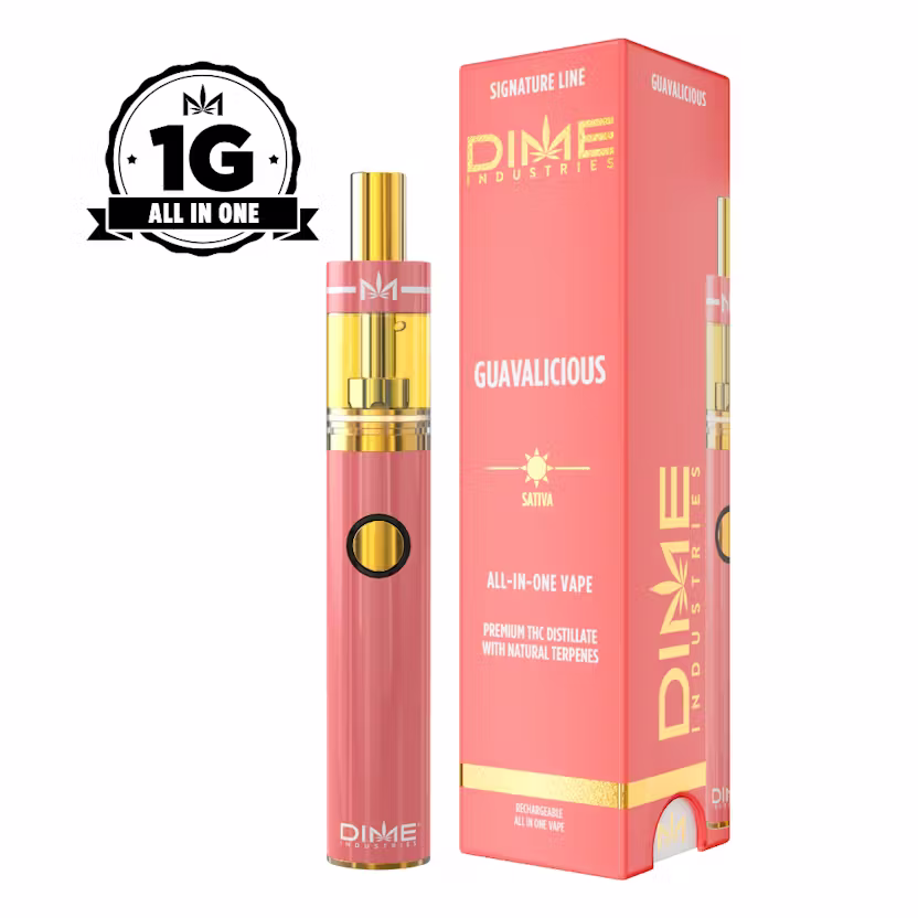 Dime Ind. All-In-One 1g - Guavalicious (S)