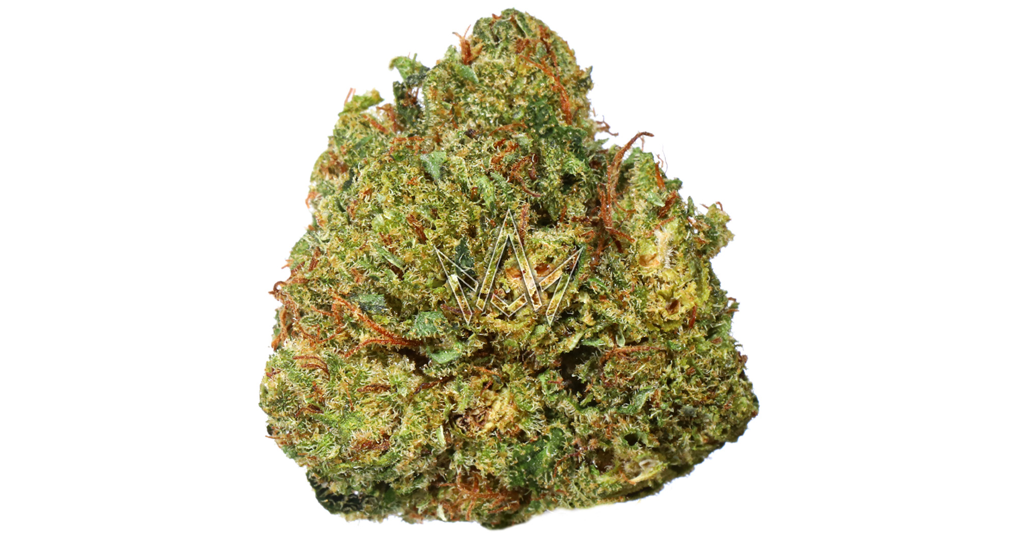 Glass House Farms Jelly Fish 3.5g San Diego, Vista & Imperial