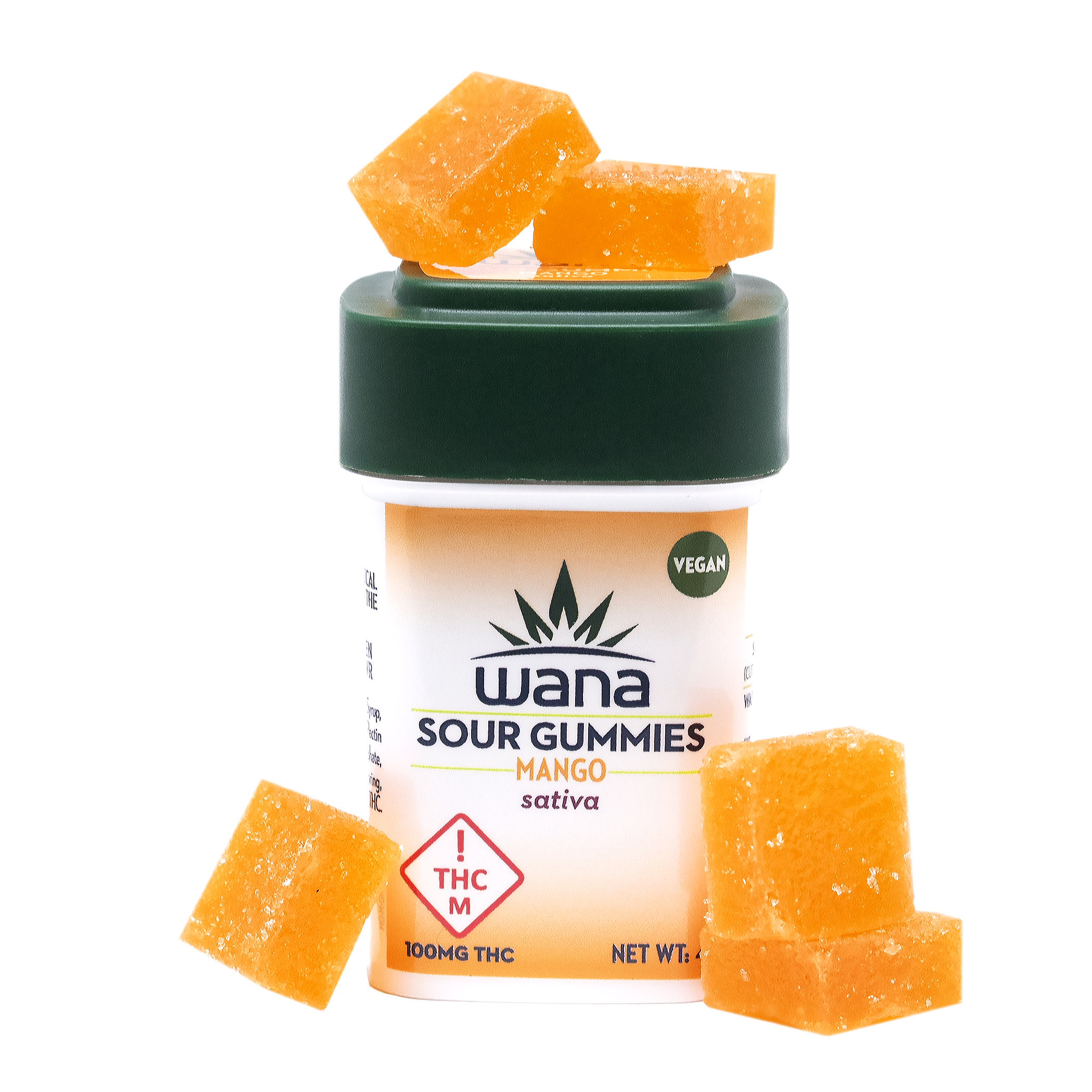 Classic Mango Sativa