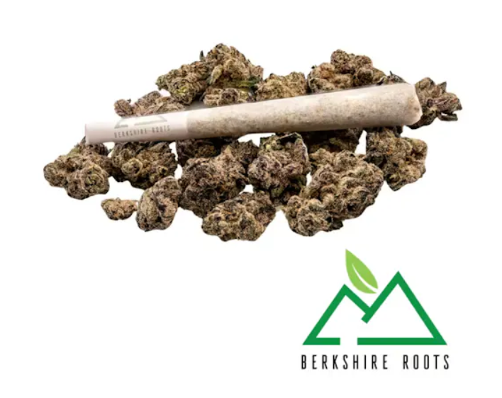 Mandarin Cookies Preroll | 1g