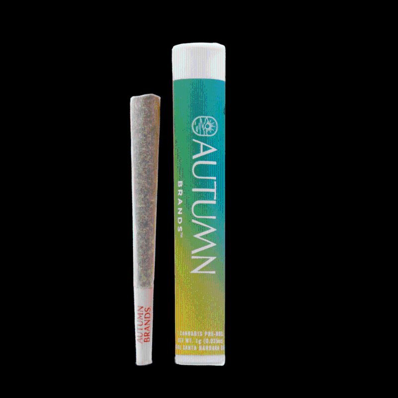 Autumn Brands Mango Haze (S) Preroll 1g