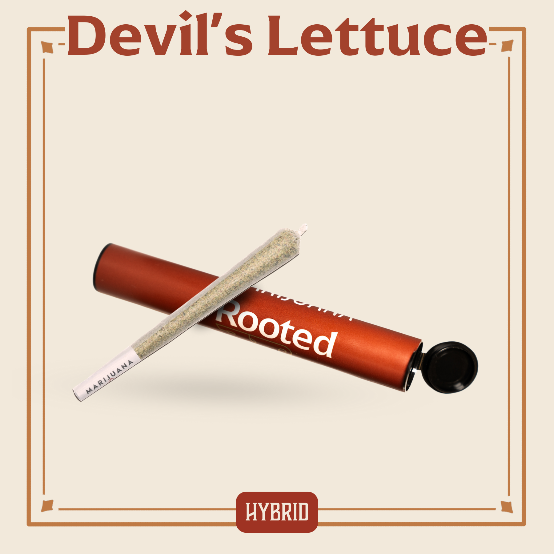 ROOTED - DEVILS LETTUCE 1 GRAM PRE-ROLL