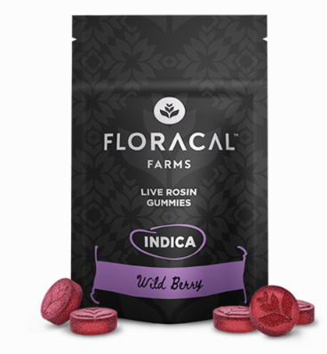 Live Rosin | Tropical Punch | 10pk | 100mg