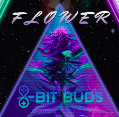 Cheetah Piss Exotics