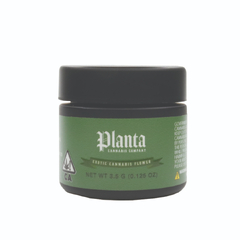 Planta - Gelonade 3.5g