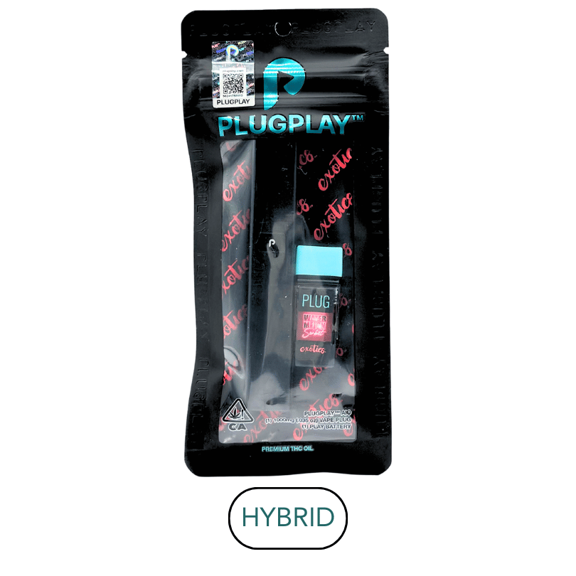 PlugPlay - Just Play - Watermelon Sorbet - RTU - 1.0g