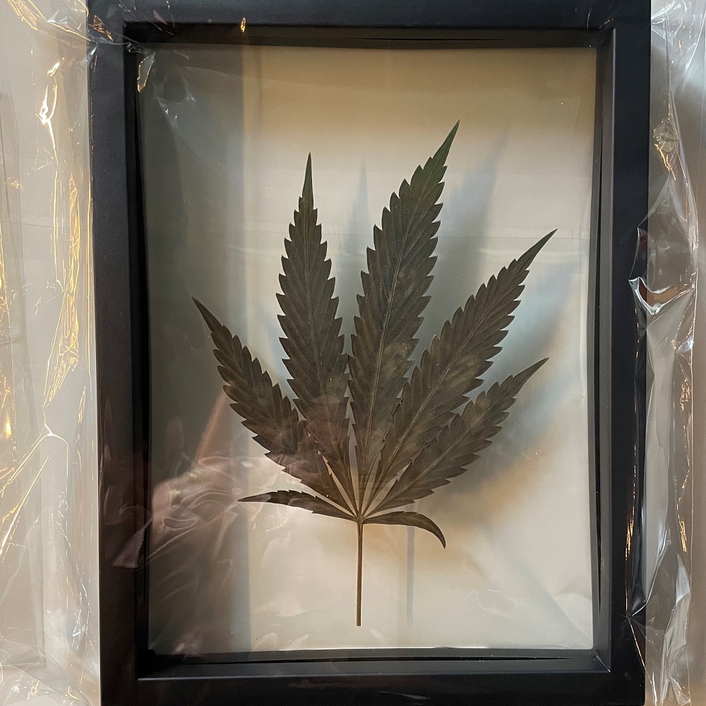 Art Floating Frame Cannabis Leaf