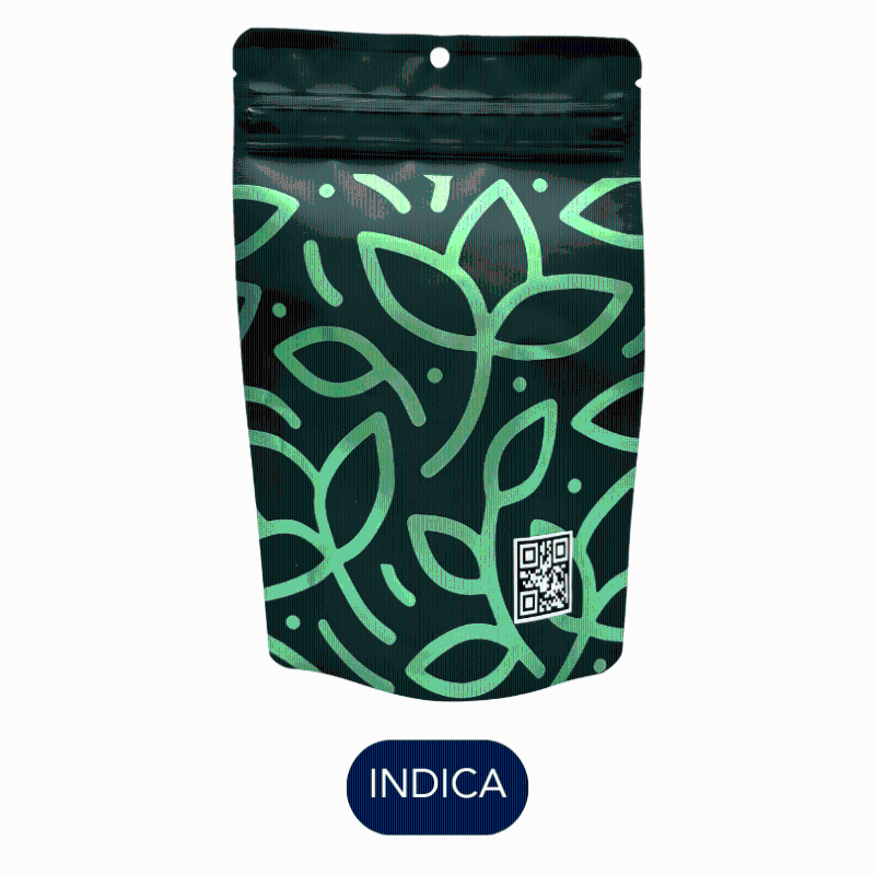 CAM - Gastonia - Flower - 14.0g