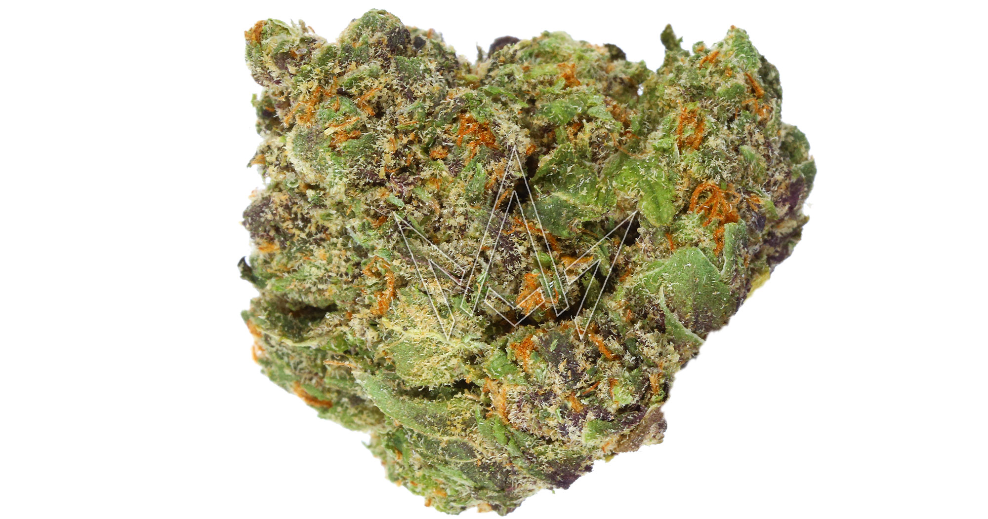 CRU Glazed Apricot Gelato 3.5g San Diego, Vista & Imperial