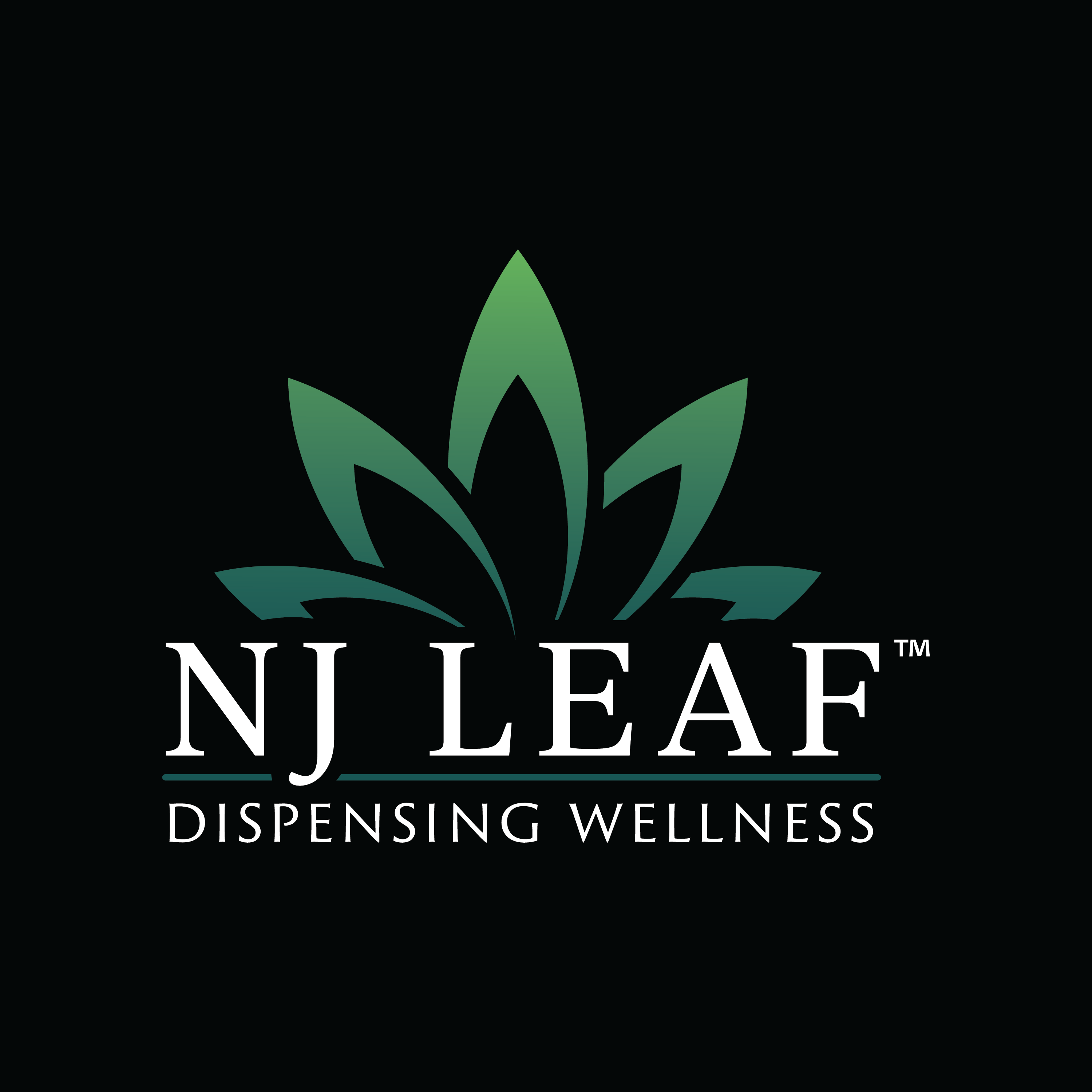 NJ Leaf Black Reusable Bag