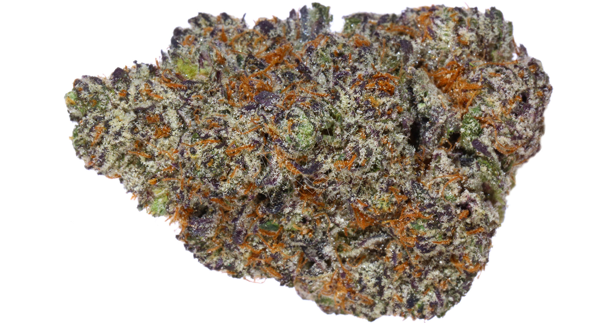 Houseplant Bomb Cyclone 3.5g San Diego, Vista & Imperial Cannabis