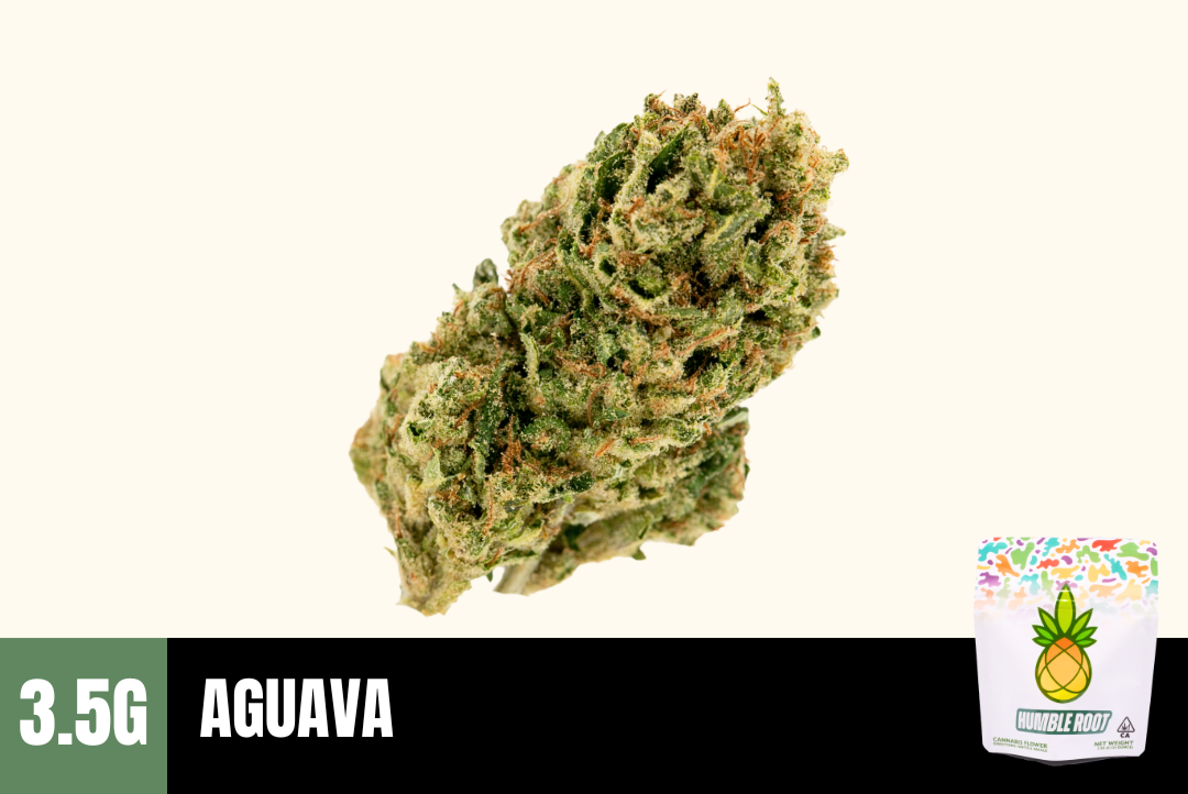 3.5g Aguava (Greenhouse) - Humble Root