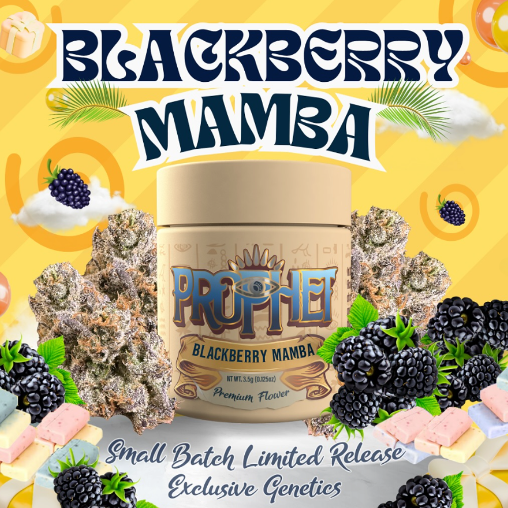 3.5g Blackberry Mamba (Small Batch Indoor) - Prophet Brands