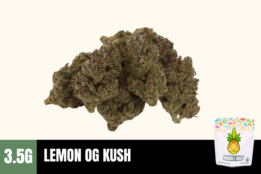 3.5g Lemon OG Kush (Greenhouse) - Humble Root