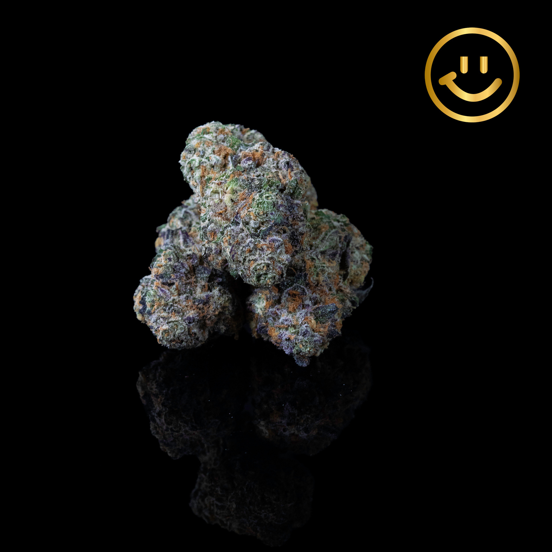 Excolo | Oregon Trail | indoor flower