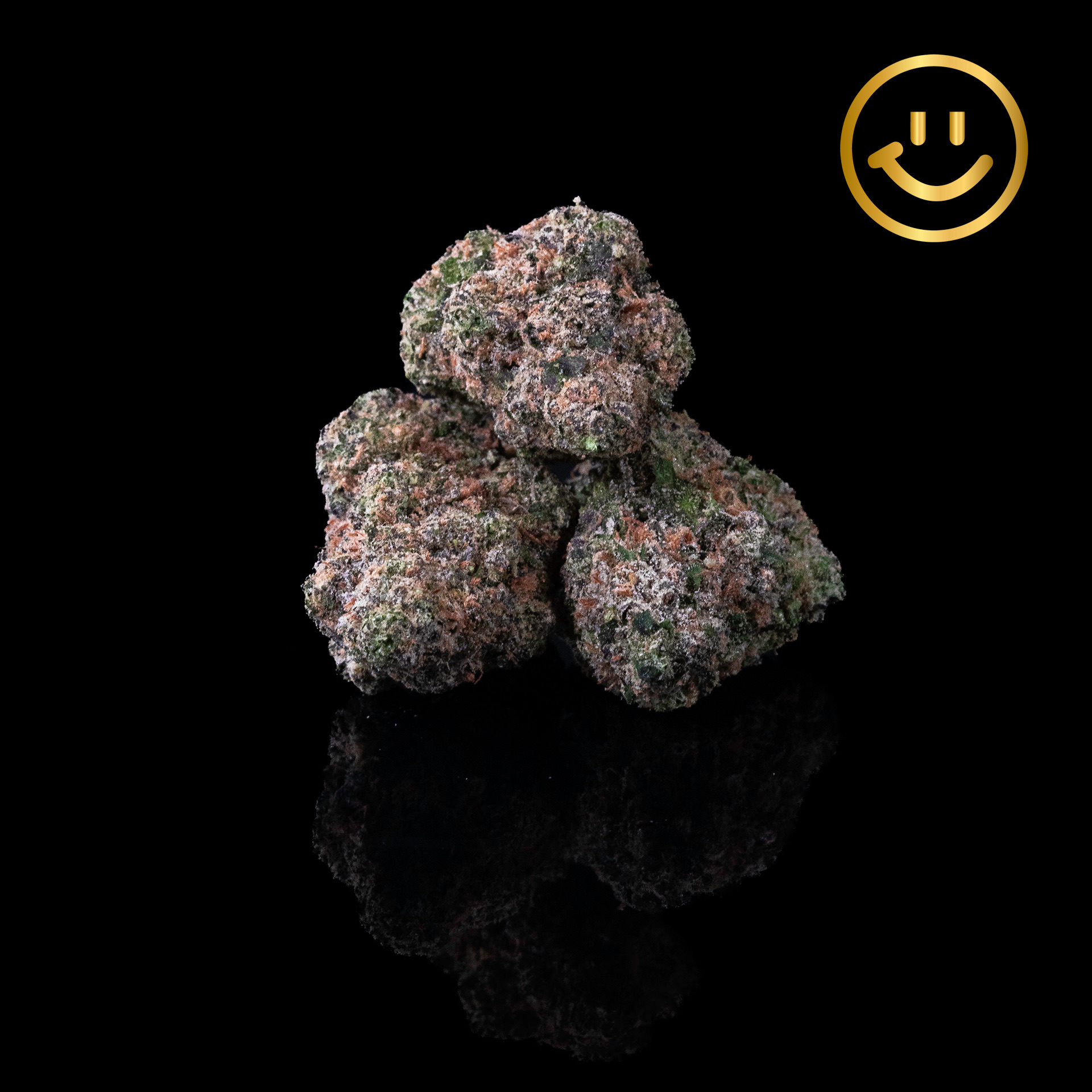 Excolo | OG 33 | indoor flower