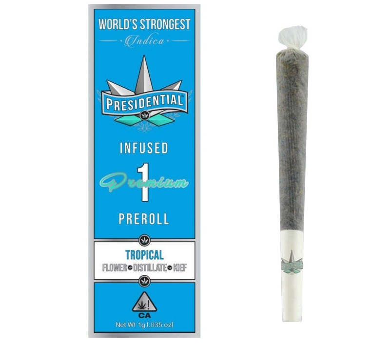 Presidential - Tropical Preroll 1g