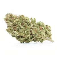Flow Kana - Gold - Orange Creamsicle 1g