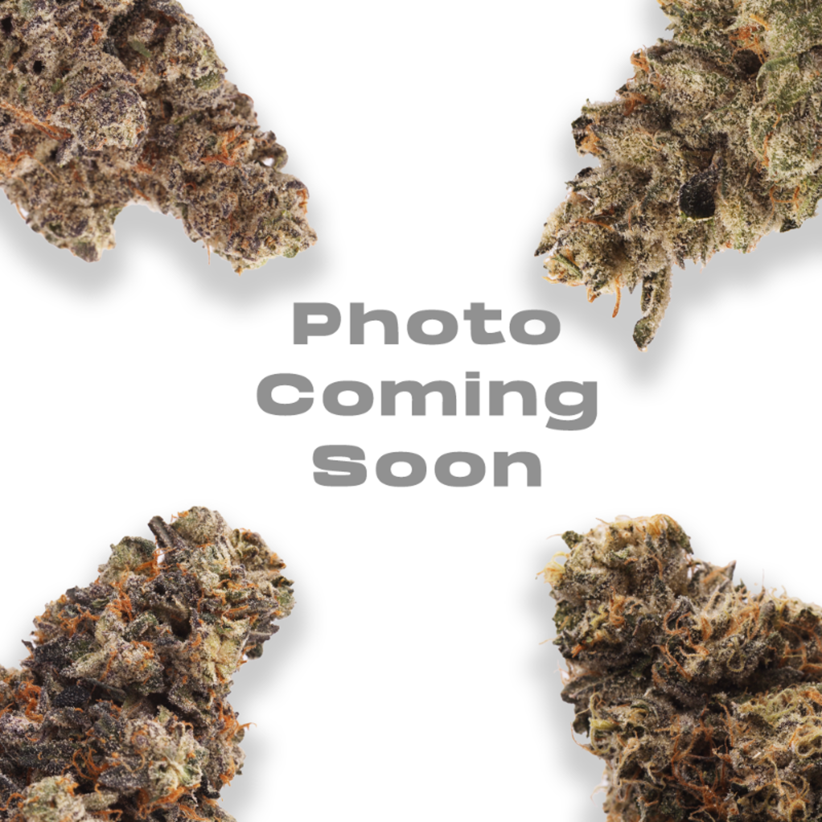 Life Cannabis Co. Total Eclipse 7g Flower Strain (sativa), 7g