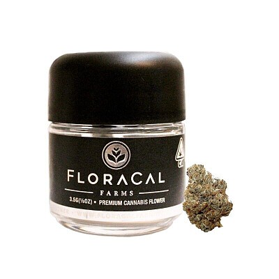 Lemon Mints Floracal