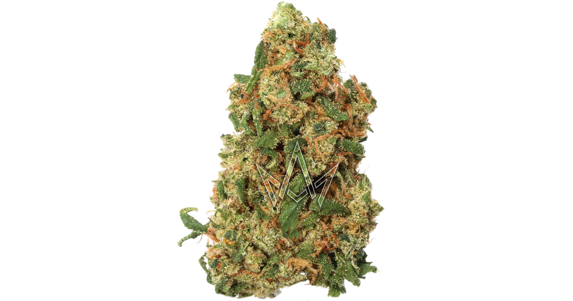 Old Pal Mango Biche 3.5g San Diego, Vista & Imperial Cannabis