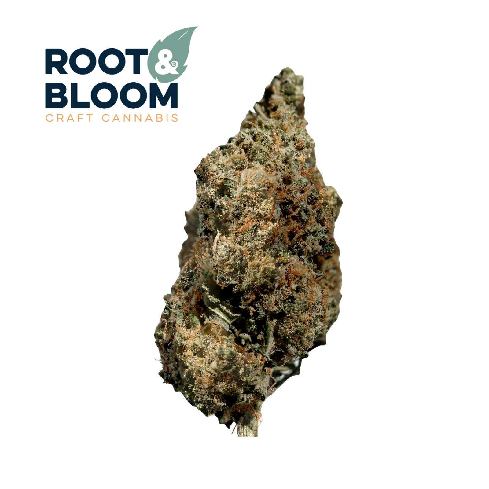 Durban Margy (3.5g Flower) | Root & Bloom