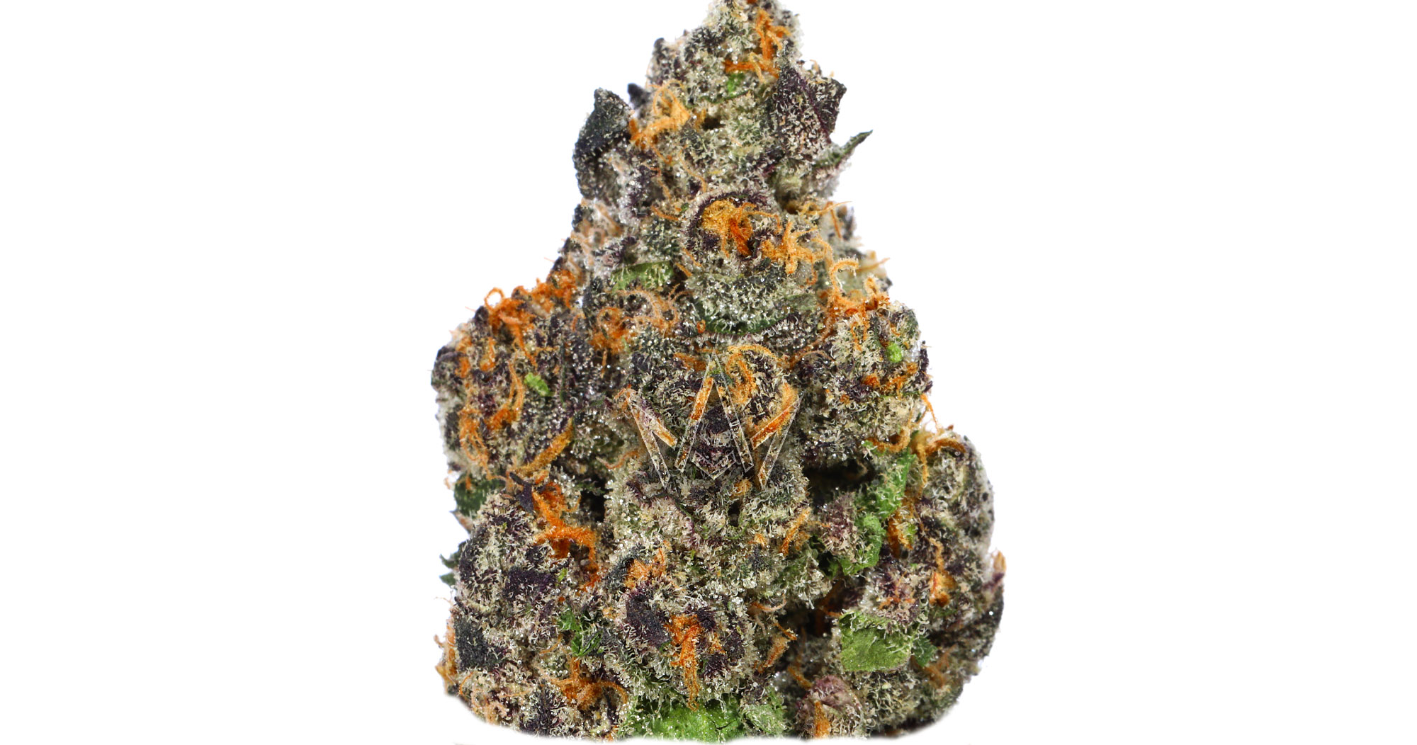 5888d973-3a2e-4834-8db8-