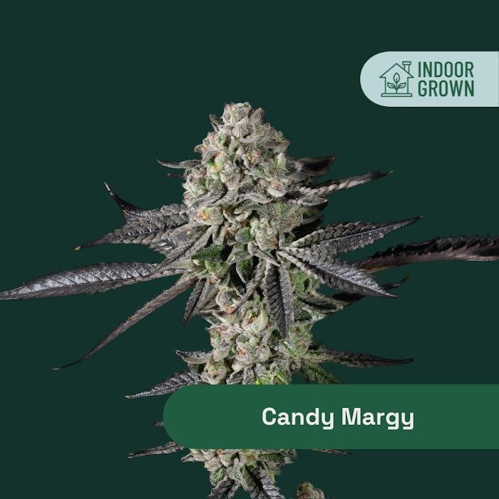 The Botanist | Candy Margy | 14G indica