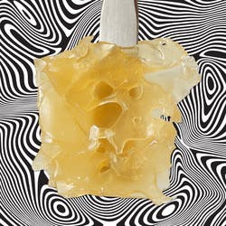 1g Amnesia Haze Shatter Korova