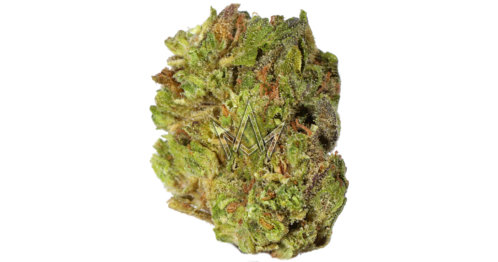 Evidence Caramel Cream 3.5g San Diego, Vista & Imperial Cannabis