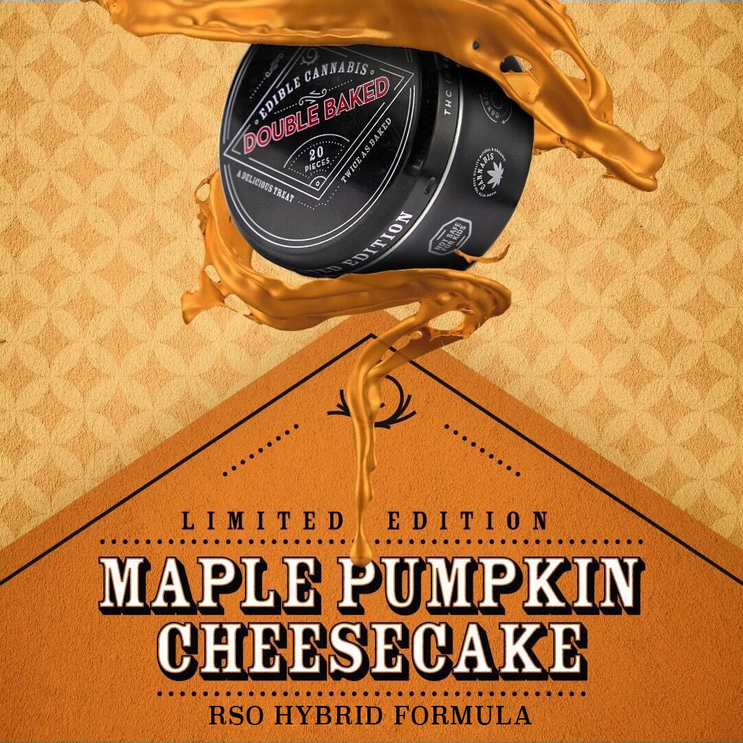 Maple Pumpkin Cheesecake RSO Chocolates | Double Baked | 100mg (20pk)