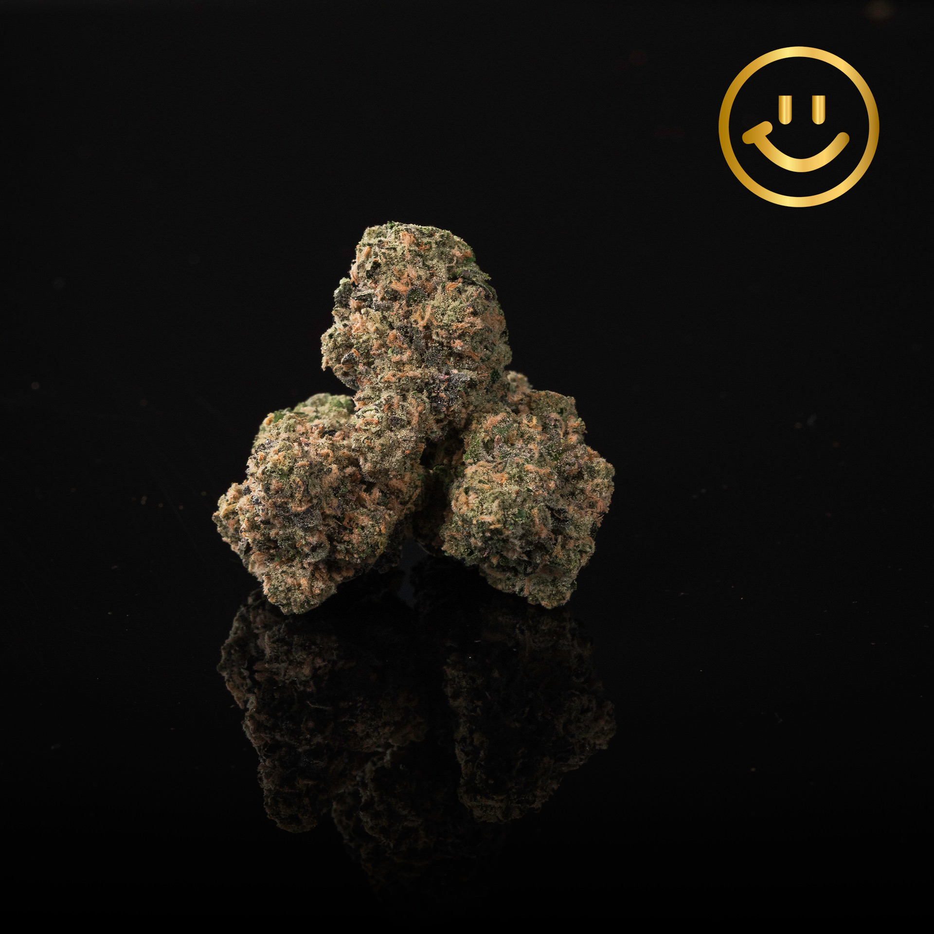 Grown Rogue | Bacio Mintz | indoor flower