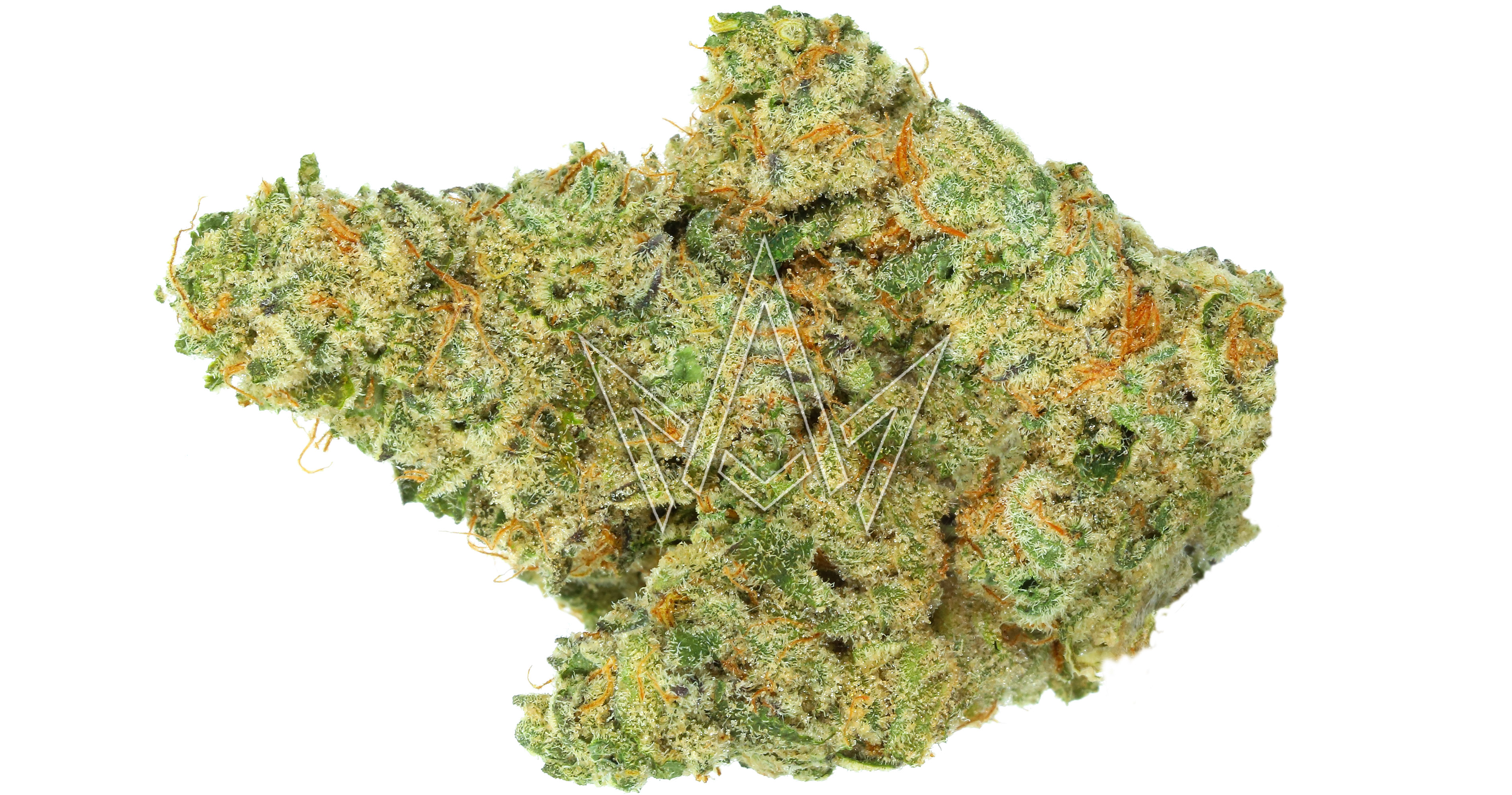 Jungle Boys Zacks Cake 3.5g San Diego, Vista & Imperial Cannabis