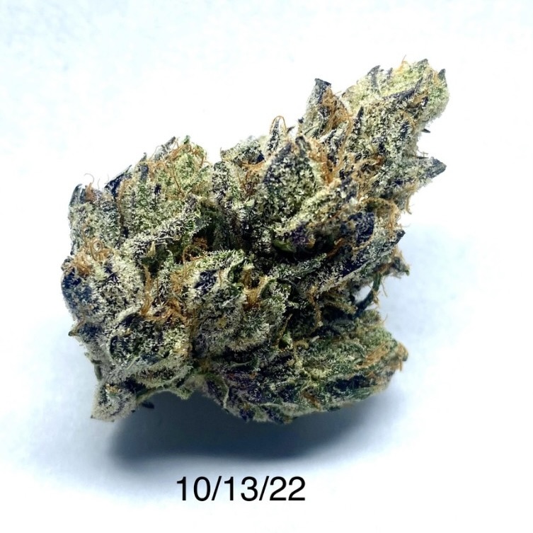 P37 - Face On Fire #9