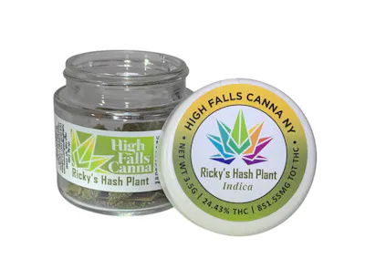 High Falls Canna | Rickys Hash Plant | 3.5G Flower