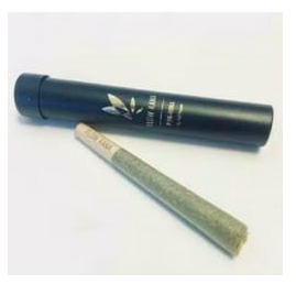 Great Success Pre Roll