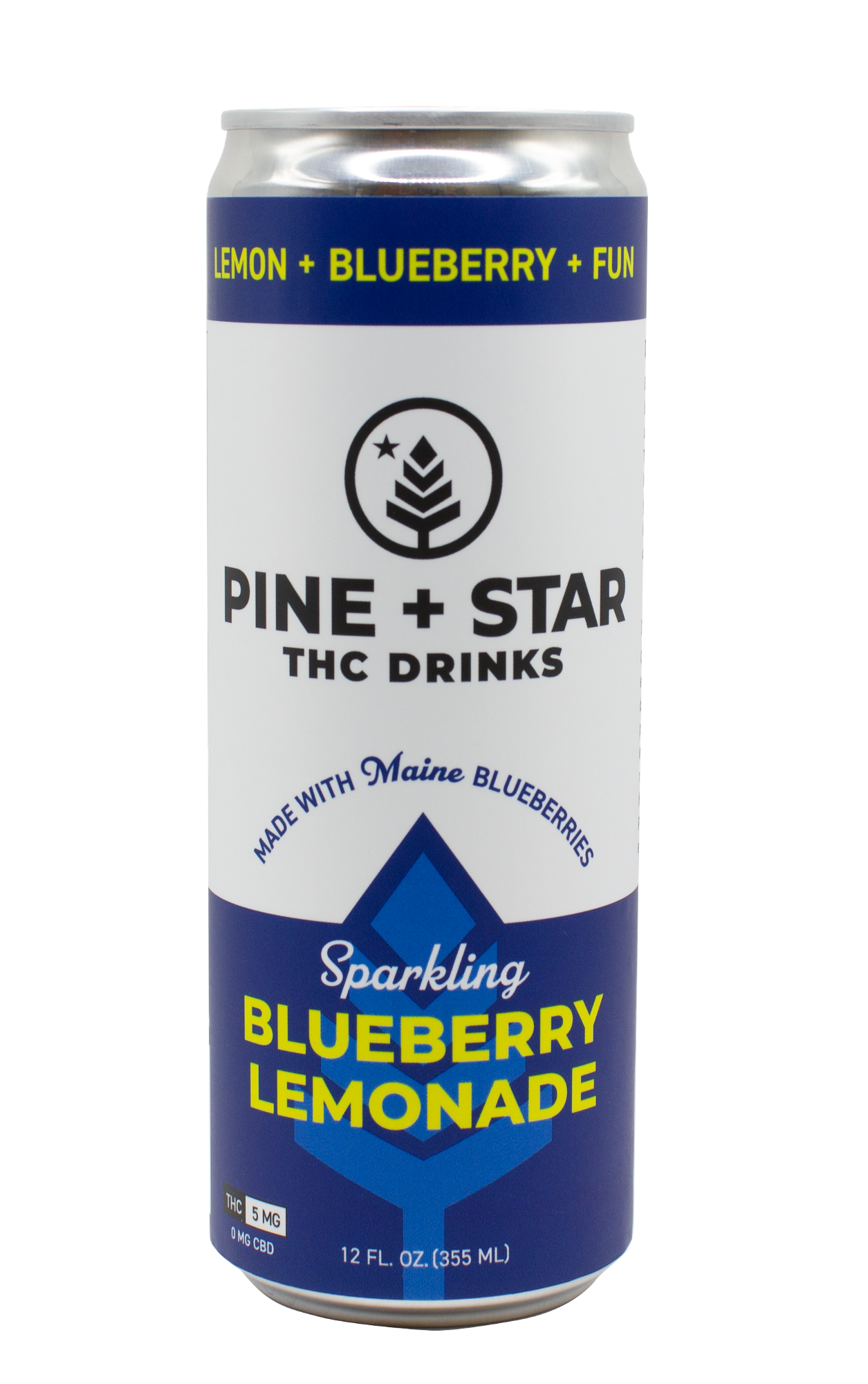 Sparkling Blueberry Lemonade