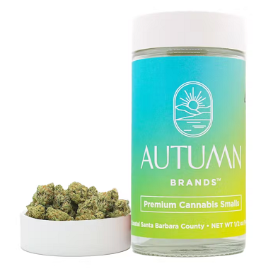 Autumn Brands Smalls 14g Blueberry Pancakes
